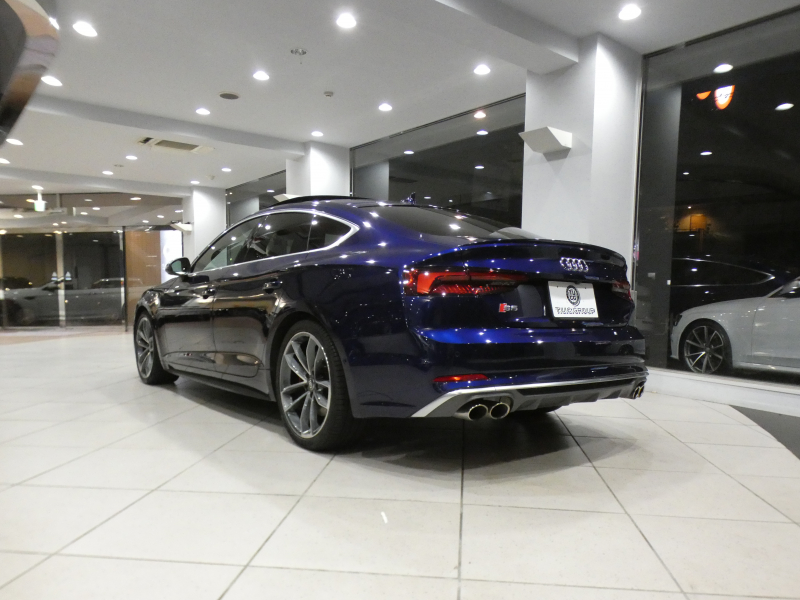 アウディ S5 S5ｽﾎﾟｰﾂﾊﾞｯｸ ﾚｻﾞｰ&ｱｼｽﾀﾝｽPKG　ADVｷｰ 追ACC ﾚｰﾝ&ｻｲﾄﾞｱｼｽﾄ 赤革 ﾏｯｻｰｼﾞ機能 ﾋｰﾀｰ ﾊﾟﾉﾗﾏSR MMIﾅﾋﾞ ﾊﾞｰﾁｬﾙCP B&Oｻｳﾝﾄﾞ 全周囲ｶﾒﾗ PDC ﾏﾄﾘｸｽLED 専用ｴｸﾃﾘｱ&19AW 赤ｷｬﾘﾊﾟｰ Rｽﾎﾟｰﾂﾃﾞﾌ 354ps　2年保証