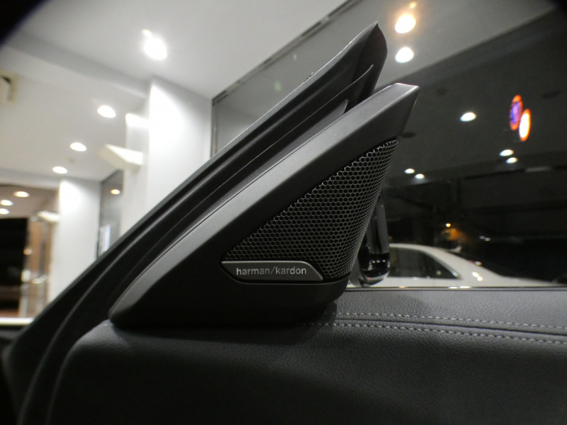 BMW Z4 Z4 M40i ｲﾉﾍﾞｰｼｮﾝPKG　ｺﾝﾌｫA Dｱｼｽﾄ 追ACC ﾚｰﾝDW 衝突軽減 茶革/黒幌 ﾋｰﾀｰ iﾄﾞﾗｲﾌﾞﾅﾋﾞ(第7世代) ﾗｲﾌﾞCP ☆harman/k ﾜｲﾔﾚｽCH ﾍｯﾄﾞｱｯﾌﾟDSP Bｶﾒﾗ 全周PDC LEDﾗｲﾄ 専用ｴｸｽﾃﾘｱ&19AW ☆3Dﾃﾞｻﾞｲﾝﾏﾌﾗｰ 340ps　2年保証