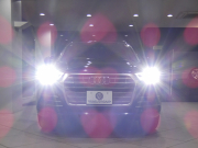 アウディ Q5 Q5 2.0TFSIｸﾜﾄﾛｽﾎﾟｰﾂ Sﾗｲﾝ&ｱｼｽﾀﾝｽPKG　☆1ｵｰﾅｰ ADVｷｰ 追ACC ﾚｰﾝ&ｻｲﾄﾞｱｼｽﾄ ｱｳﾃﾞｨﾌﾟﾚｾﾝｽ ﾊﾟｰｸｱｼｽﾄ 半革 ﾋｰﾀｰ MMIﾅﾋﾞ ﾊﾞｰﾁｬﾙCP 全周囲ｶﾒﾗ PDC LEDﾗｲﾄ Sﾗｲﾝｴｸｽﾃﾘｱ&19AW　2年保証